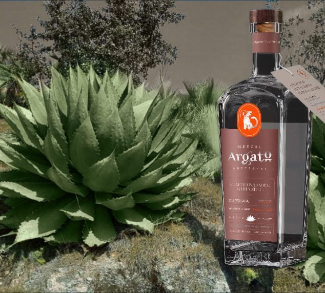 A bottle of alcohol sitting next to some plants