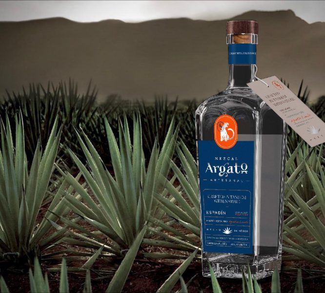 A bottle of agave is sitting in the grass.