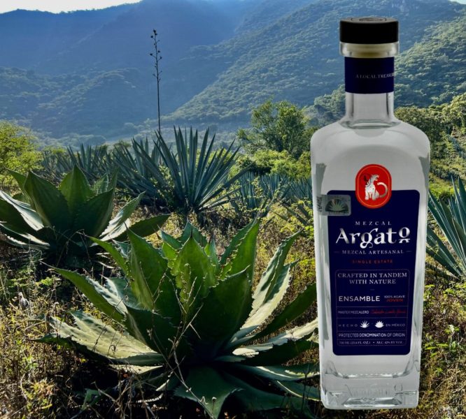 Ensamble Bottle + Field