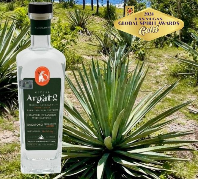 Sacatoro Bottle Gold + Field